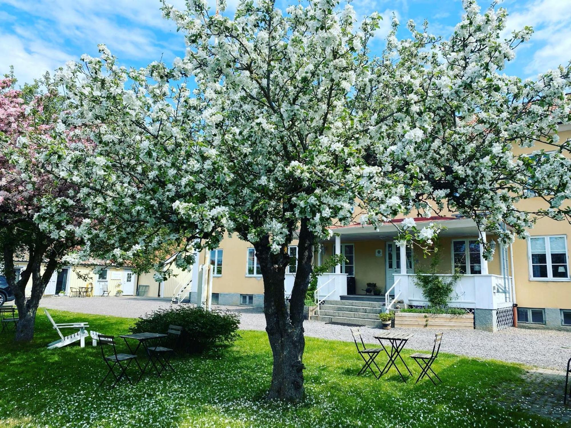 Vadstena Vandrarhem-Hostel Extérieur photo